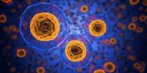 Cellules-saines- sante-redox.fr
