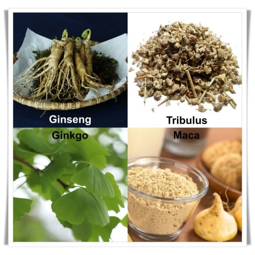 les plantes qui favorisent la libido
