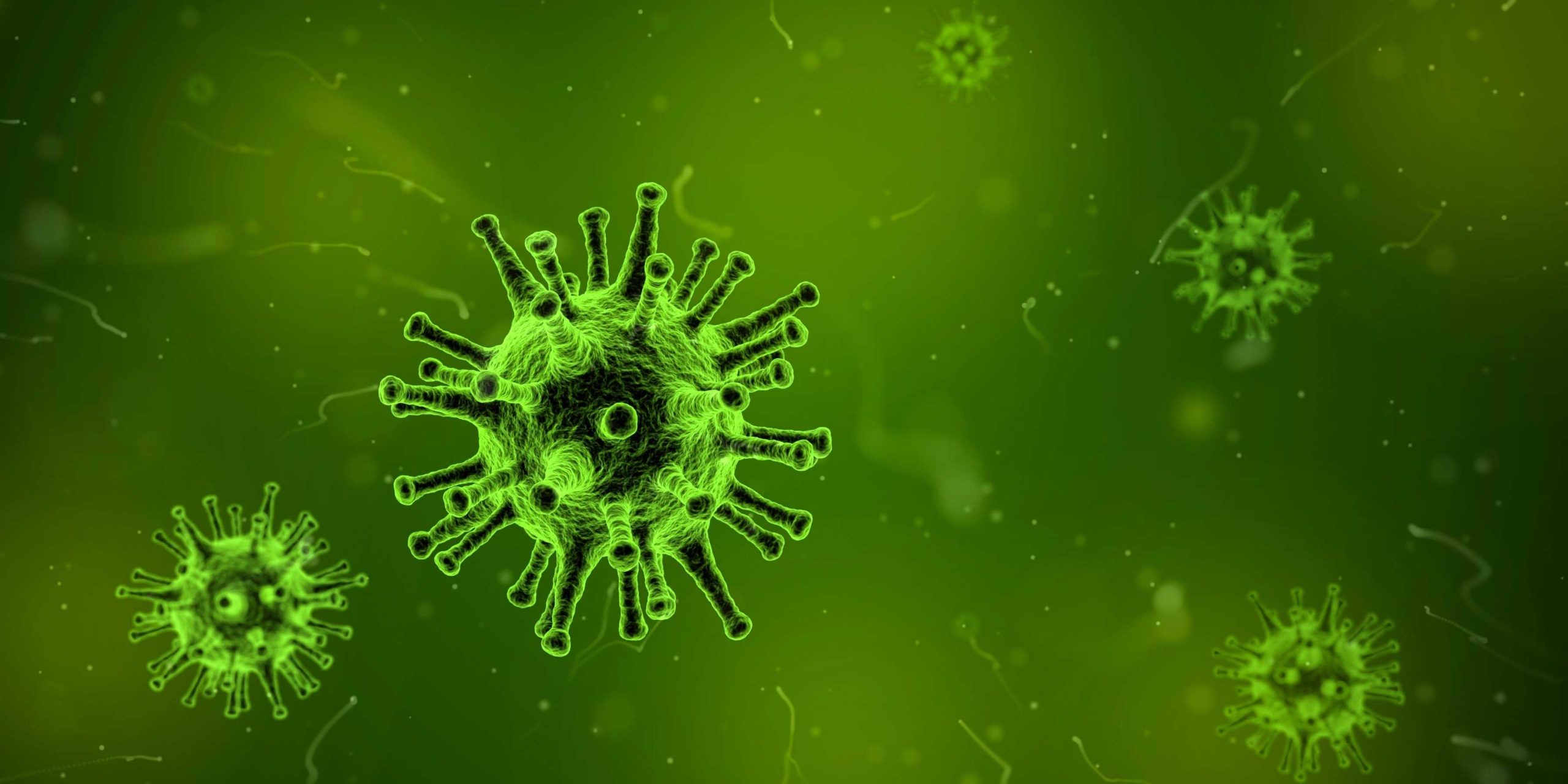 Corona-virus-COVID-19_Santé-Redox