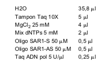SAR1-AS 5’ TAT AGT GAG CCG CCA CAC ATG 3’