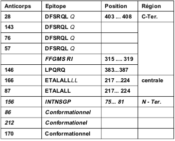 Tableau VIII  Mapping épitopique des anticorps monoclonaux