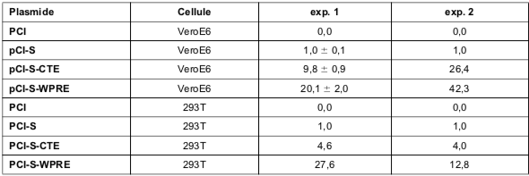 Tableau X analyse quantitative de l’effet des signaux CTE et WPRE sur l’expression de la S du SRAS-CoV