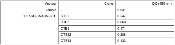 Tableau XI  analyse de l’expression de polypeptide Ssol par des lignées cellulaires transduites