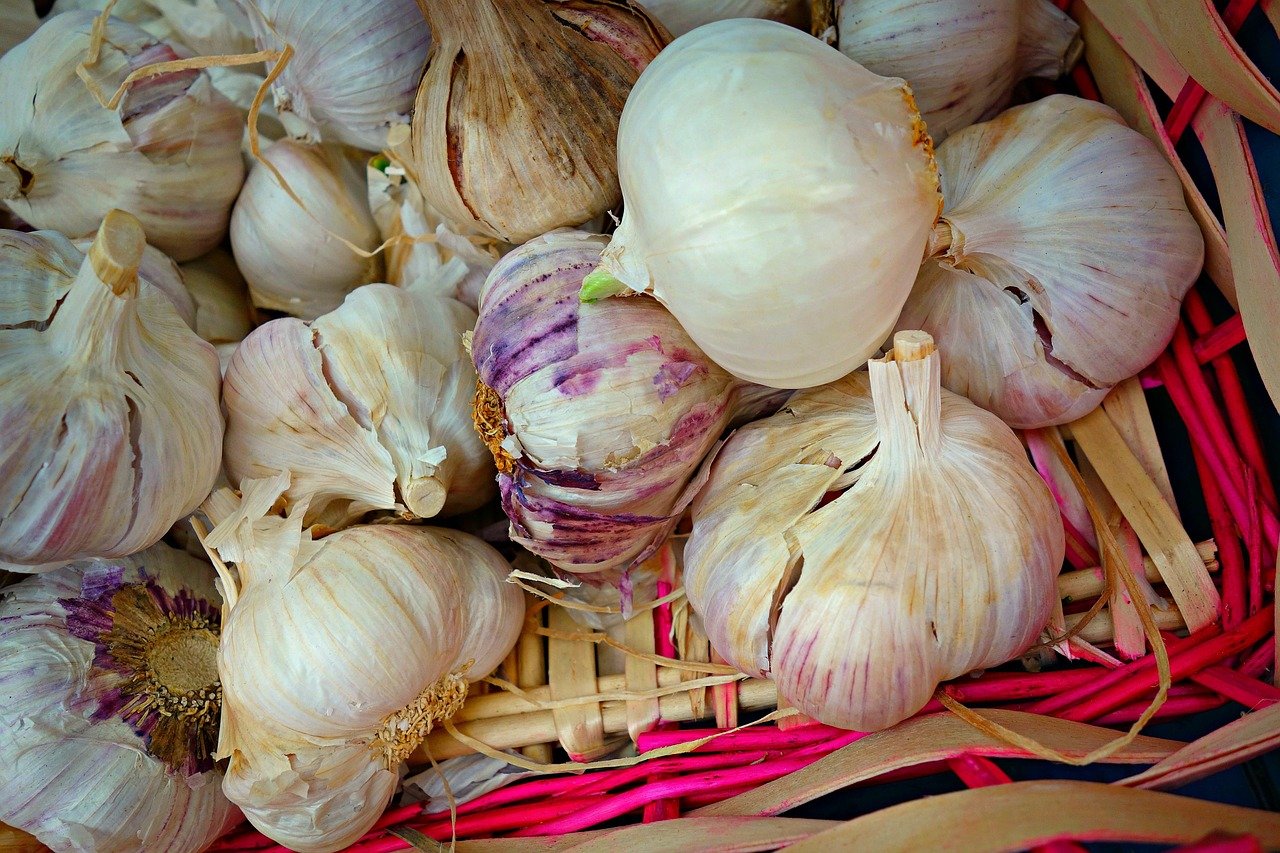 Aile Aliment Aphrodisiaque