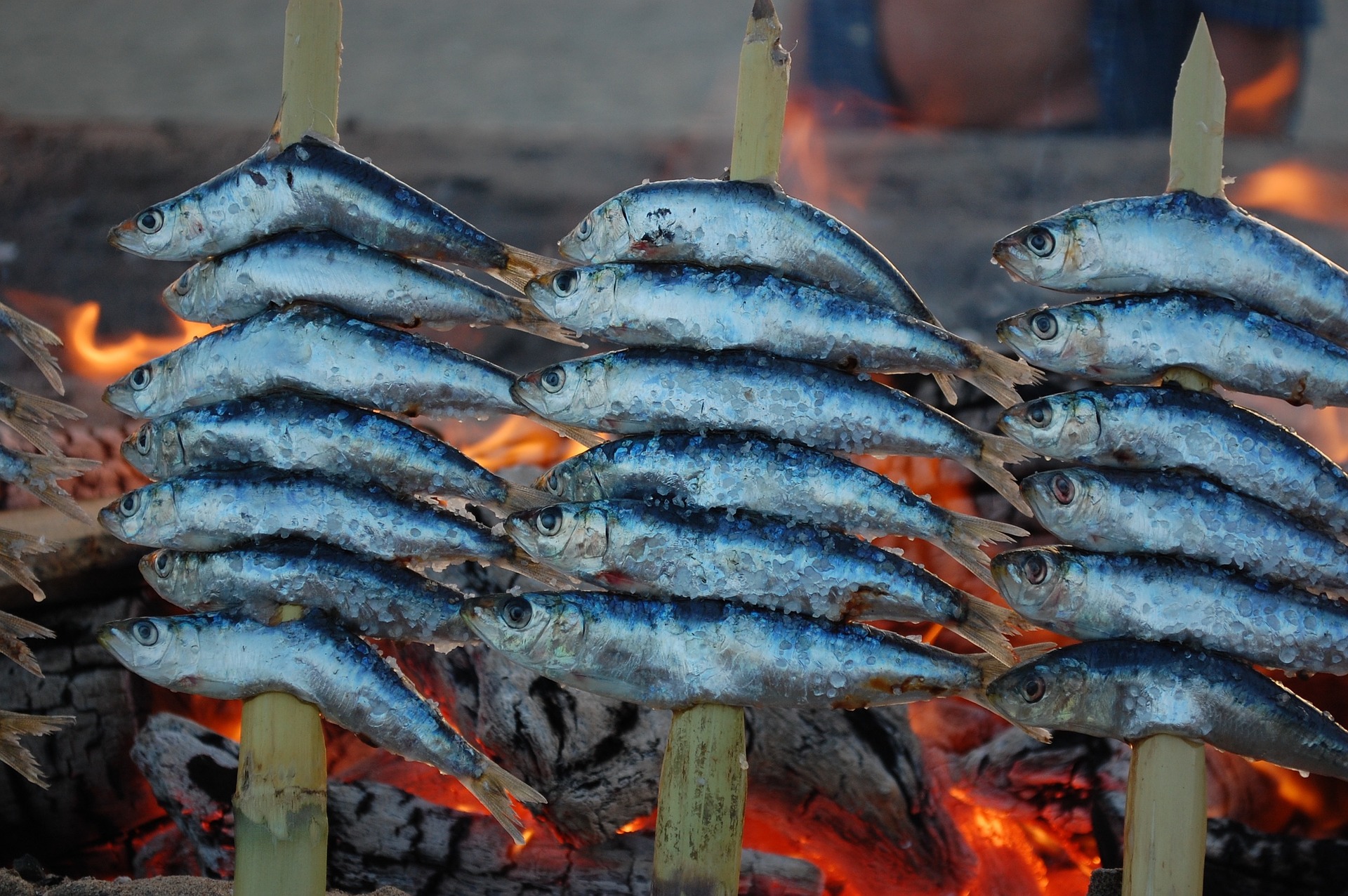Les poissons gras sont incroyablement sains. Ils sont riches en protéines de haute qualité et en acides gras oméga-3 qui vous protègent des maladies cardio-vasculaires.
