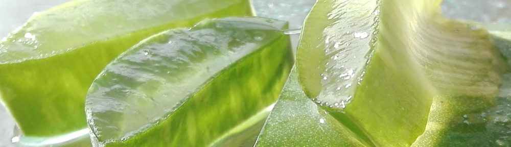 L'utilisation de l'Aloe vera comme médicament remonte à des milliers d'années