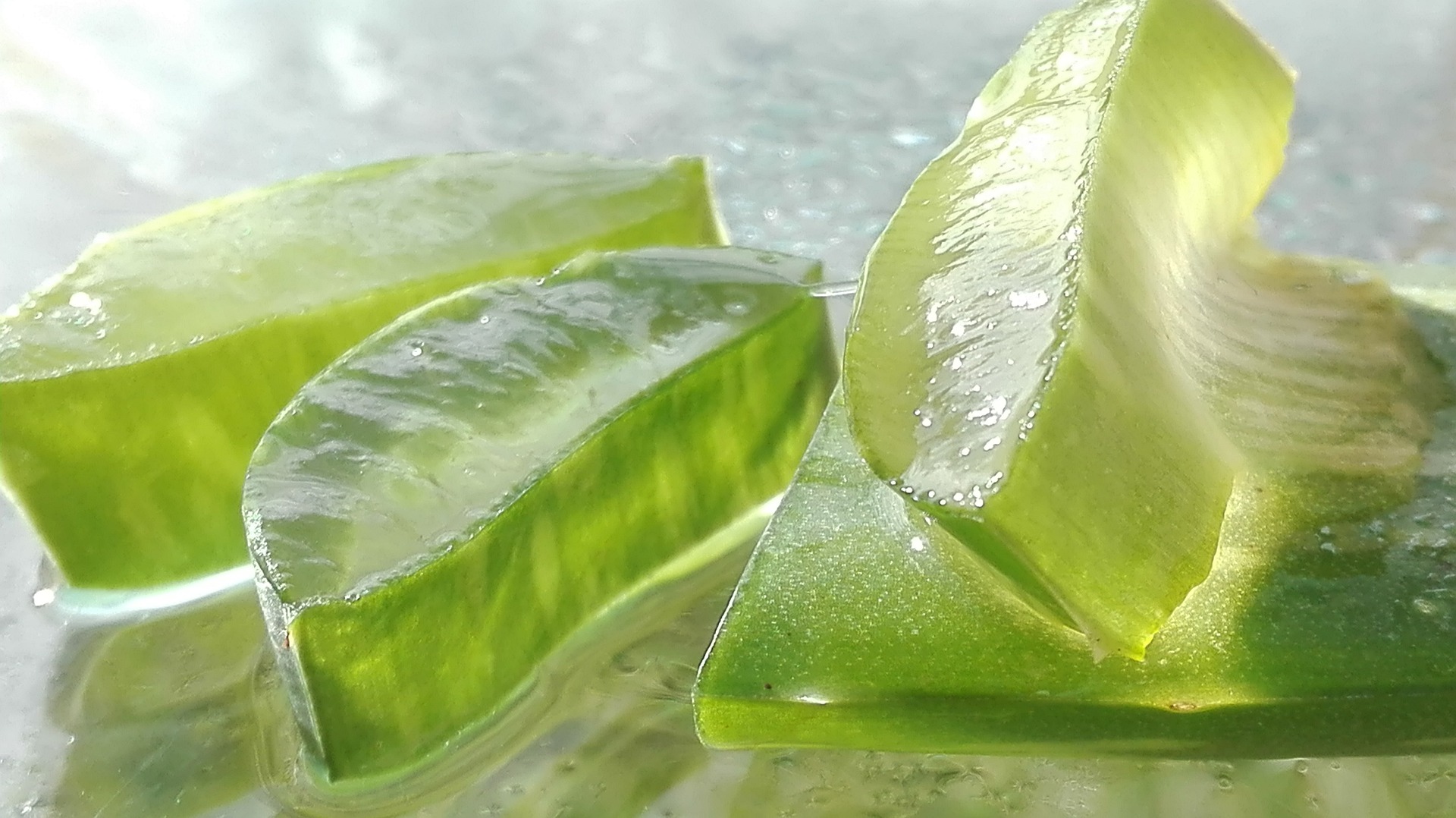 Le jus d'Aloe vera améliore la santé gastro-intestinale en rétablissant l'équilibre bactérien, en améliorant la digestion, en augmentant l'absorption des nutriments et en réduisant l'inflammation.