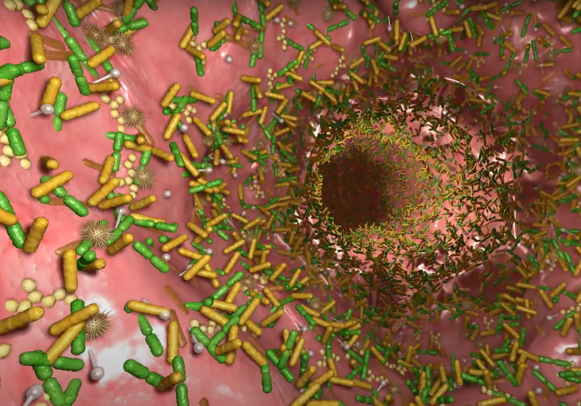 Microbiome