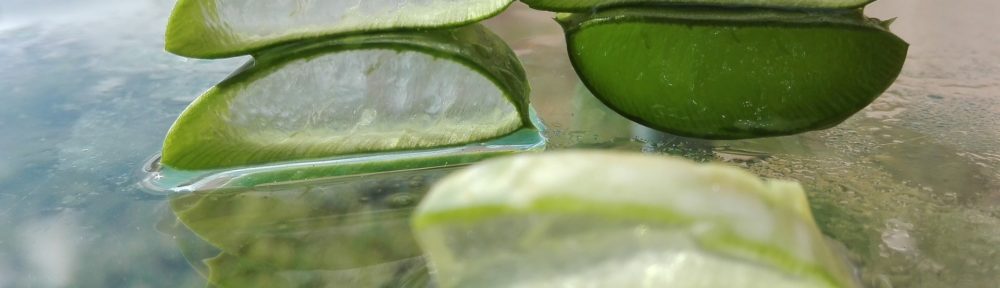 propriétés apaisantes, hydratantes et rafraîchissantes, l'aloe vera est souvent utilisé pour traiter les brûlures.