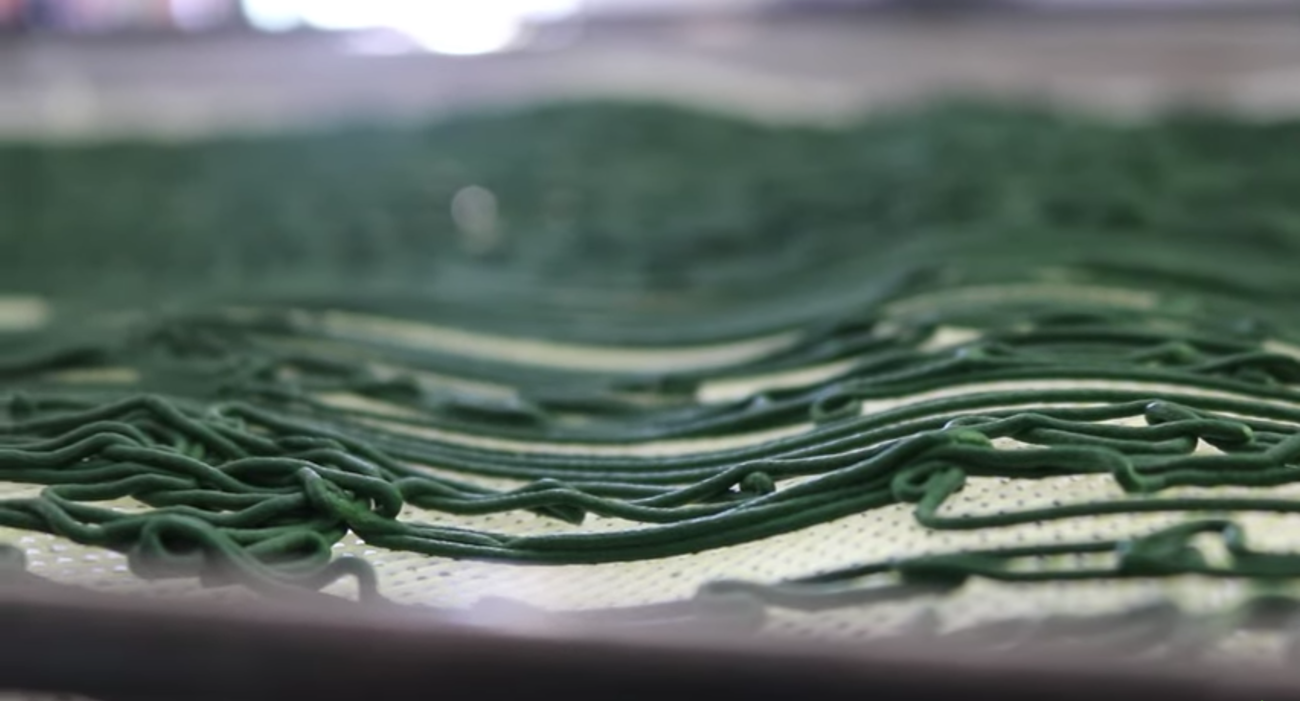Spaghetti de Spiruline