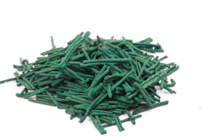 La Spiruline est extrêmement riche en de nombreux nutriments. Elle se développe à la fois dans l'eau douce et dans l'eau salée. C'est un type de cyanobactéries, qui est une famille de microbes unicellulaires souvent appelés algues bleues.