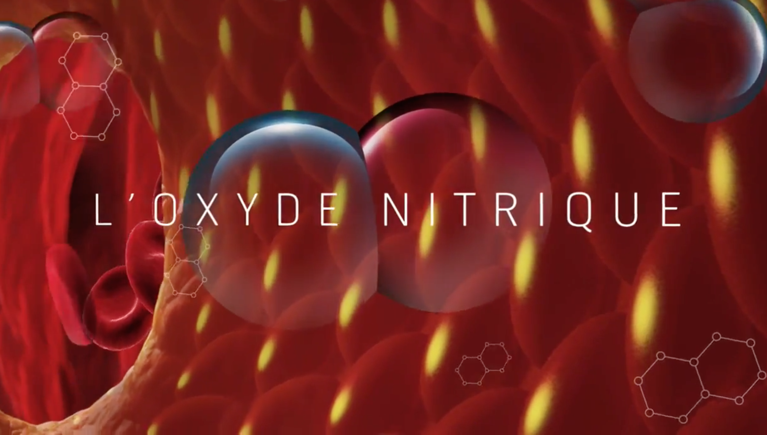 Oxyde Nitrique dans le système sanguin.