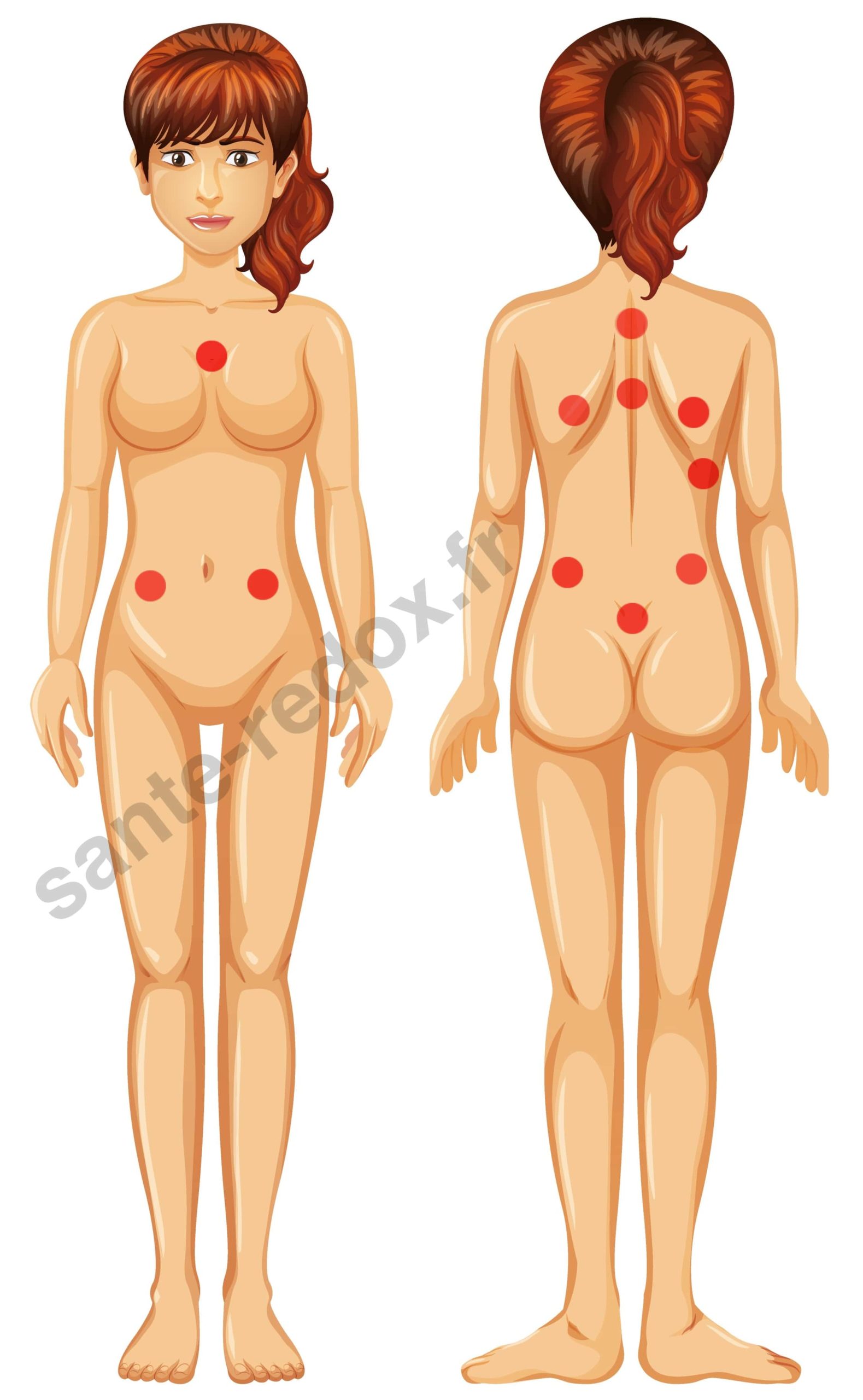 Hijama fertilité de la femme