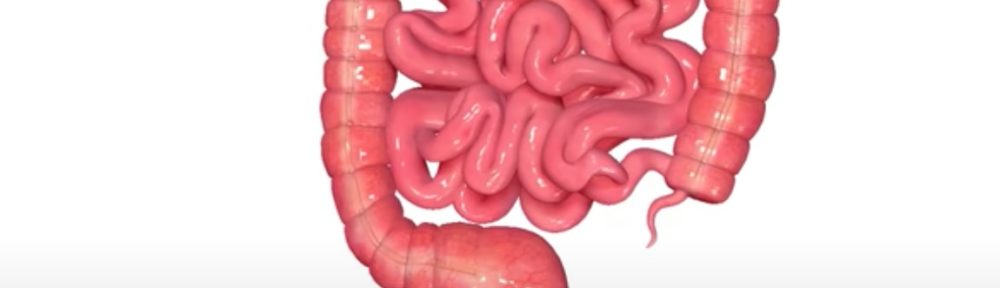 Maladie de Crohn