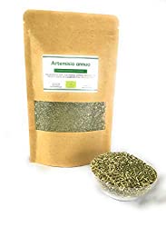 Tisane d'Artemisia Annua