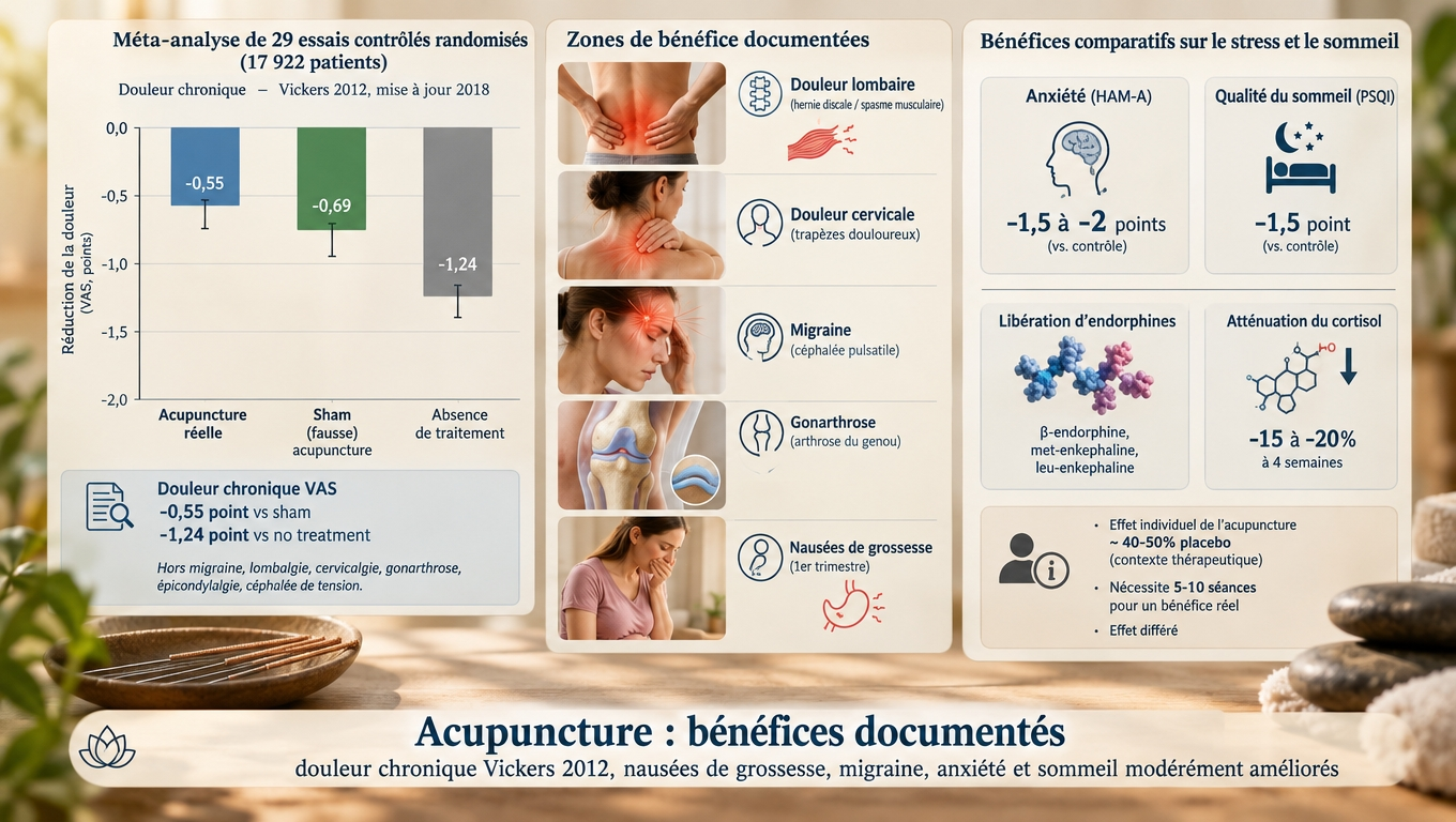 Vickers 2012 : léger avantage sur sham mais net sur absence de traitement ; lombalgie, cervicalgie, migraine, gonarthrose, nausées de grossesse sont les meilleures indications ; immunité et fertilité exagèrent les preuves.