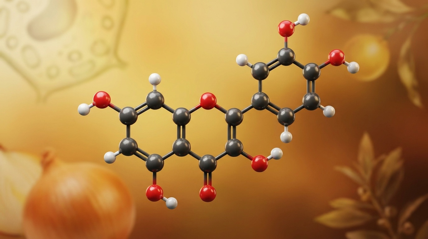 Représentation pharmacologique de précision du flavonoïde le plus étudié de l'alimentation, illustrant l'architecture polyvalente des polyphénols végétaux.